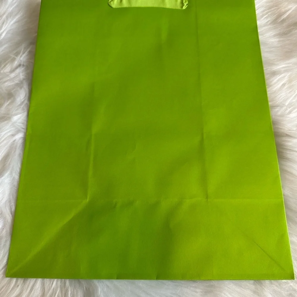 🩷5/$10 Vibrant Green gift Bag